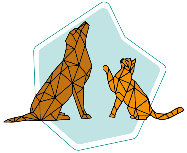 pet amber collare