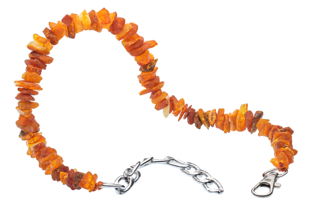pet amber collare
